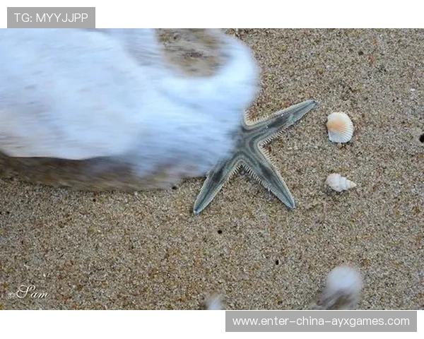 冲浪选手环保倡议被央视报道,引起全国关注 冲浪选手环保倡议被央视报道,引起全国关注