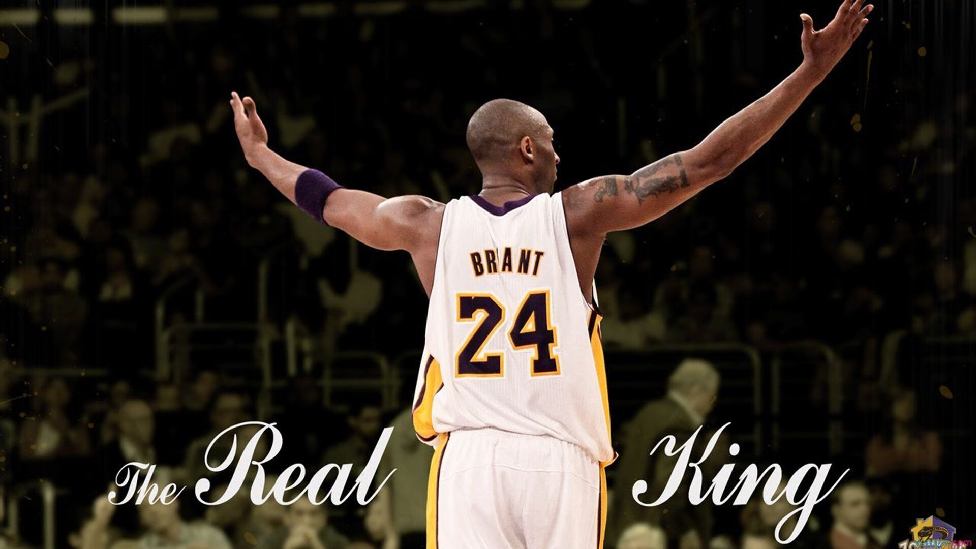 上海男篮表现出色，全队士气高涨，上海男篮实力